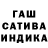 Конопля сатива Ann Alex