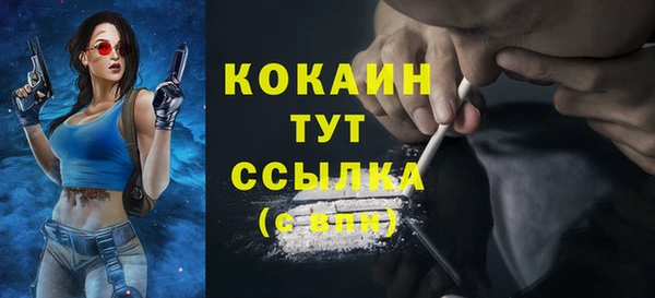 стаф Баксан