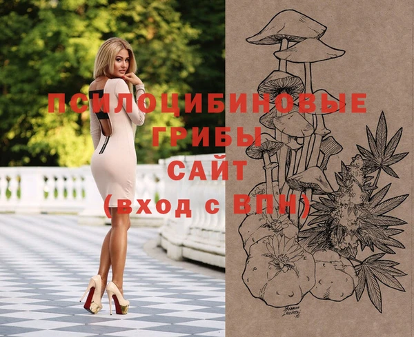 стаф Баксан