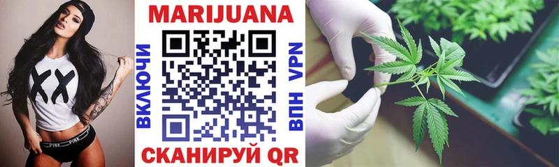 mega tor  купить закладку  Белинский  Шишки марихуана конопля 